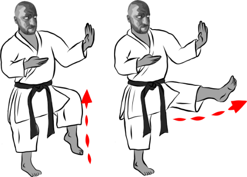 Mae-ashi geri (Forward leg, front kick)